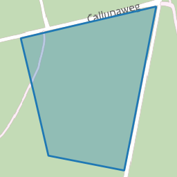 Perceel RSN01-C-1314