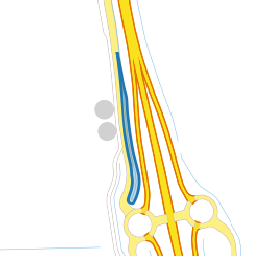 Perceel VWD02-I-5779