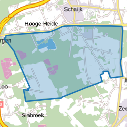 Verspreide huizen Schaijkse Heide