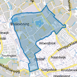 Buitengebied 2 Naaldwijk