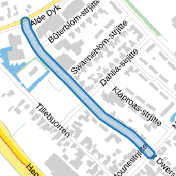 Goudtsjeblom-strjitte