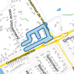 Bakhuijs Roozeboomlaan