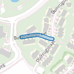 Buitenduinstraat