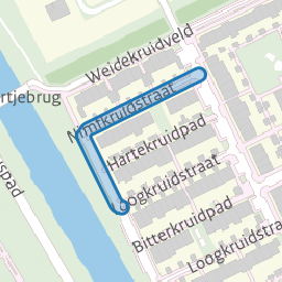 Nimfkruidstraat