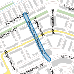 Vingerhoedskruidstraat