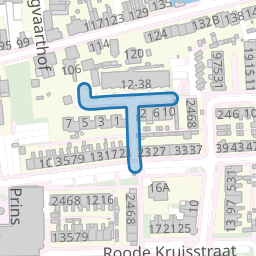 Prinses Amaliastraat