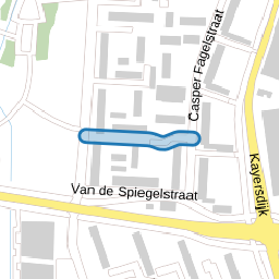 Van Slingelandtstraat