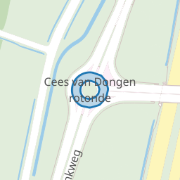 Cees van Dongen rotonde