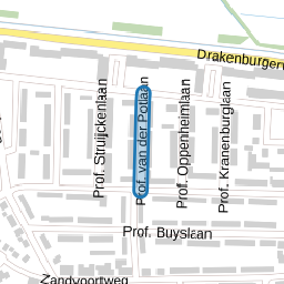 Prof. van der Potlaan