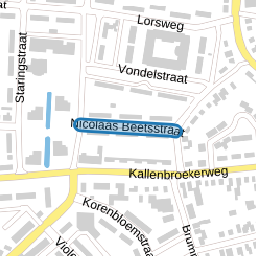 Nicolaas Beetsstraat