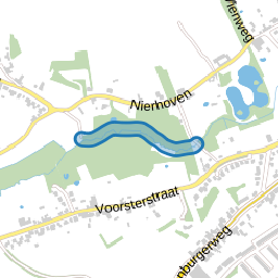 Grijzegrubberkerkpad