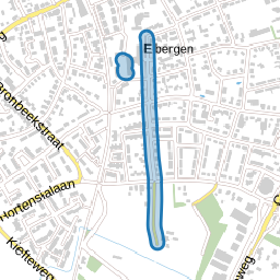 Willem Sluyterstraat