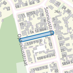 Basilius van Bruggestraat