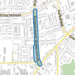 Burgemeester Woltersstraat