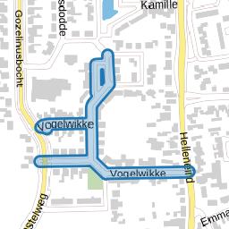 Vogelwikke