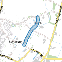 Boschdijkdwarsstraat