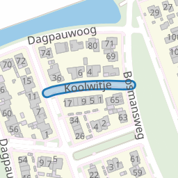 Koolwitje