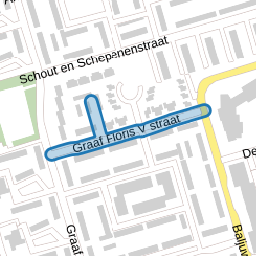 Graaf Floris V straat