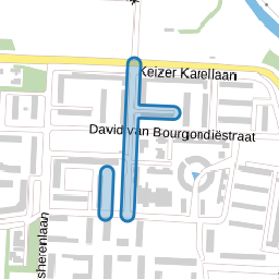 Floris van Wevelinghovenstraat