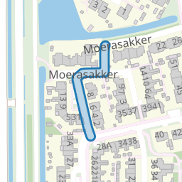Moerasakker