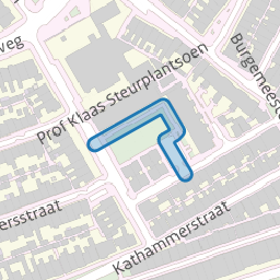 Prof Klaas Steurplantsoen