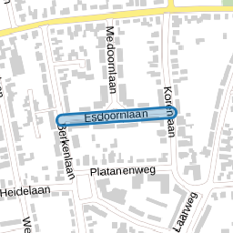 Esdoornlaan