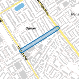 Alard du Hamelstraat