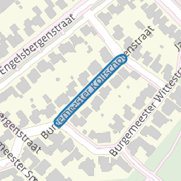 Burgemeester Kolfschotenstraat