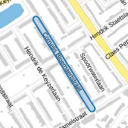 Cornelis Bloemaertstraat