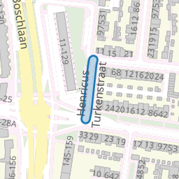 Henricus Turkenstraat