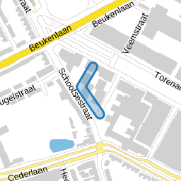 Professor Carassohof