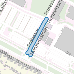 Professor Horowitzstraat