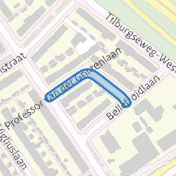 Professor van der Grintenlaan