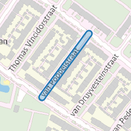 van Poppelstraat
