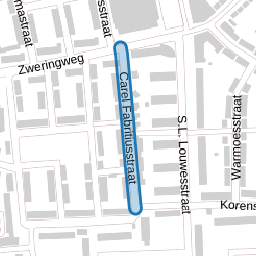 Carel Fabritiusstraat