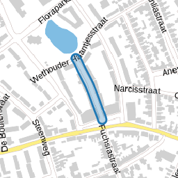 Jacobus van Veenstraat