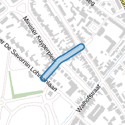 Minister Goeman Borgesiusstraat