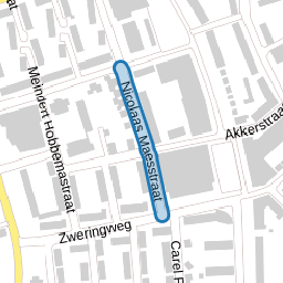 Nicolaas Maesstraat
