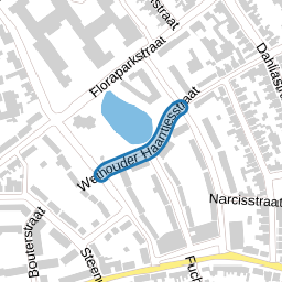 Wethouder Haantjesstraat