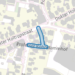 Professor Kohnstammhof