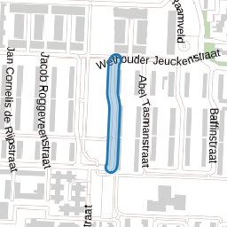 Joris van Spilbergenstraat