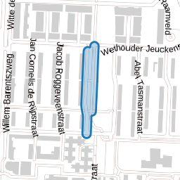 Willem van Ruysbroeckstraat