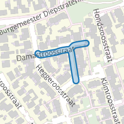 Damastroosstraat