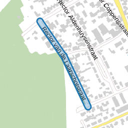 Rector van de Laarschotstraat