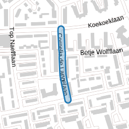 Cornelia de Langelaan