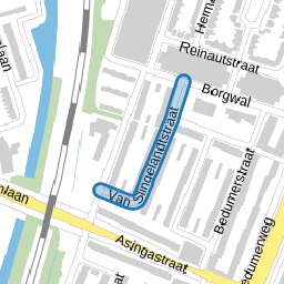 Van Slingelandtstraat