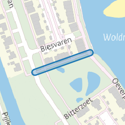 Biesvaren