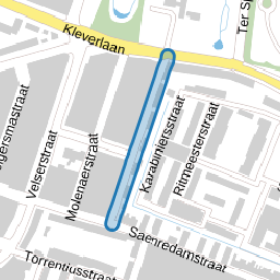 Judith Leysterstraat