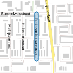 Professor Kouwerstraat