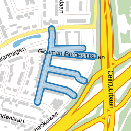 Goeman Borgesiuslaan